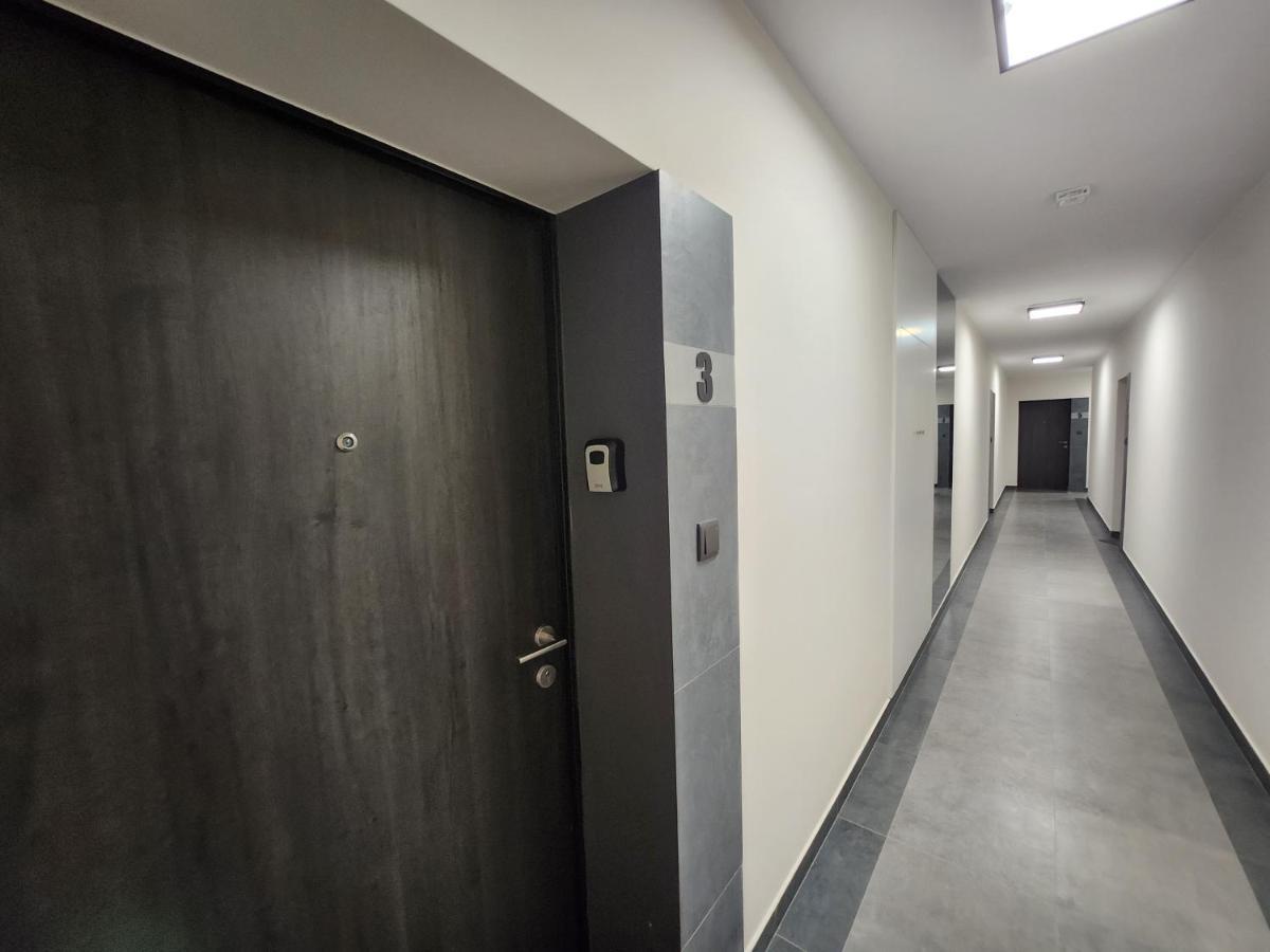 Dwa Jelonki, Ul Sciegiennego, Centrum, Garaz, Ogrodek كيلتشي المظهر الخارجي الصورة
